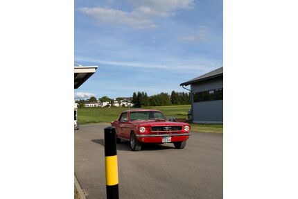 Ford Mustang Gebrauchtwagen