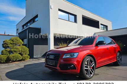 Audi SQ5 Gebrauchtwagen