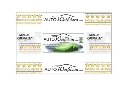 Skoda Kamiq Gebrauchtwagen