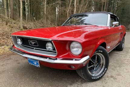 Ford Mustang Gebrauchtwagen