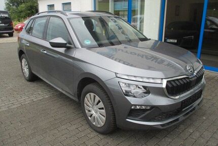 Skoda Kamiq Gebrauchtwagen
