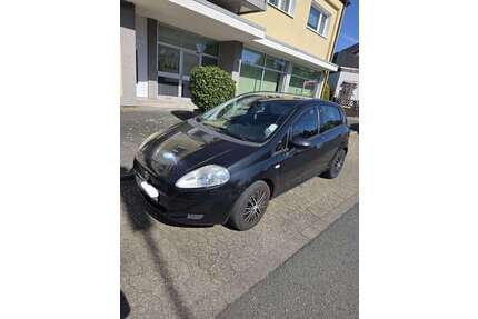 Fiat Punto Gebrauchtwagen