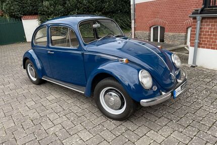 VW Käfer Gebrauchtwagen