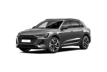 Audi e-tron Gebrauchtwagen