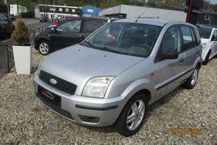 Ford Fusion Gebrauchtwagen