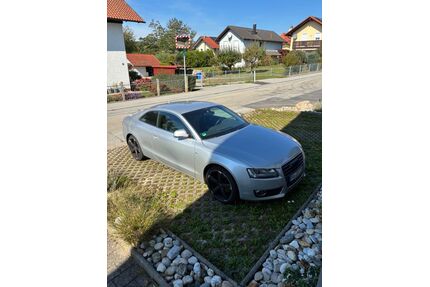 Audi A5 Gebrauchtwagen