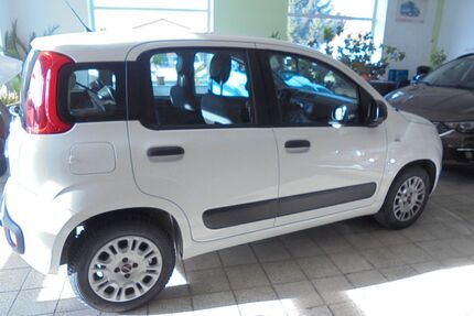 Fiat Panda Gebrauchtwagen