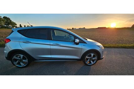 Ford Fiesta Gebrauchtwagen