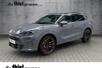 Cupra Terramar Gebrauchtwagen