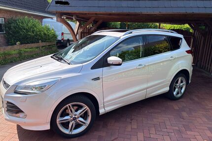 Ford Kuga Gebrauchtwagen