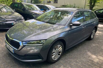 Skoda Octavia Gebrauchtwagen