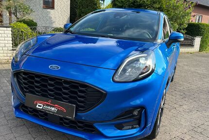 Ford Puma Gebrauchtwagen