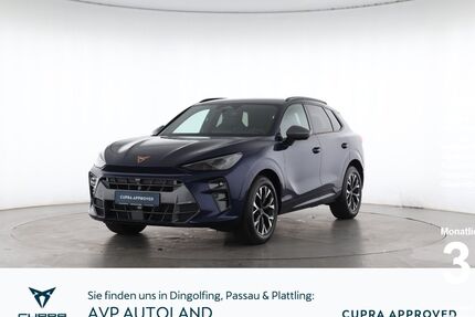 Cupra Terramar Gebrauchtwagen