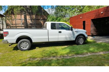 Ford F 150 Gebrauchtwagen