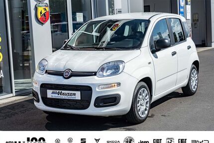 Fiat Panda Gebrauchtwagen