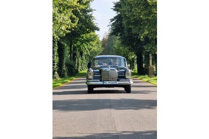 Mercedes-Benz 220 Gebrauchtwagen