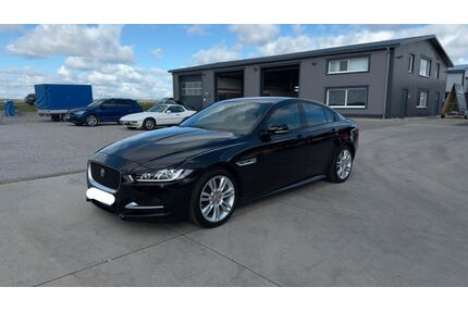 Jaguar XE Gebrauchtwagen