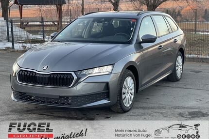 Skoda Octavia Gebrauchtwagen