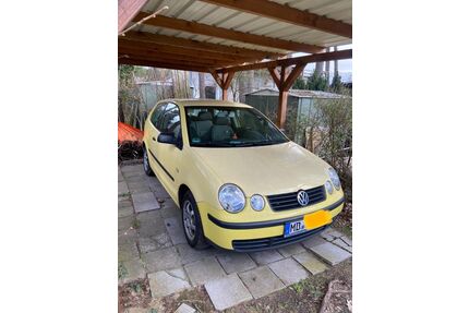VW Polo Gebrauchtwagen