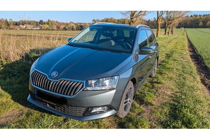 Skoda Fabia Gebrauchtwagen