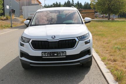 Skoda Kodiaq Gebrauchtwagen