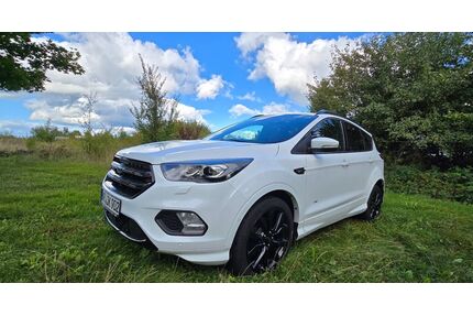 Ford Kuga Gebrauchtwagen