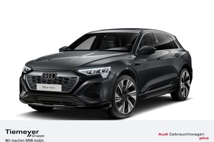 Audi Q8 e-tron Gebrauchtwagen