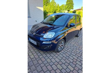 Fiat New Panda Gebrauchtwagen