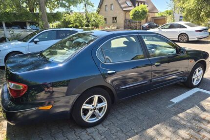Nissan Maxima Gebrauchtwagen