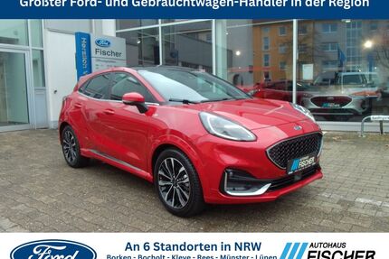 Ford Puma Gebrauchtwagen