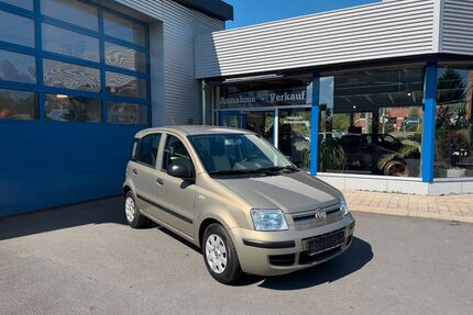 Fiat Panda Gebrauchtwagen