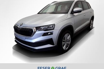 Skoda Karoq Gebrauchtwagen