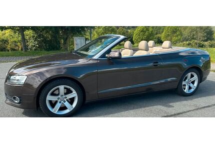 Audi A5 Gebrauchtwagen