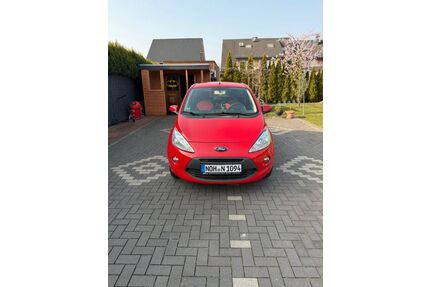 Ford Ka/Ka+ Gebrauchtwagen