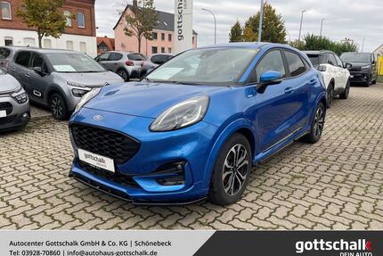 Ford Puma Gebrauchtwagen