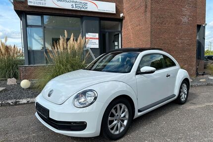 VW Beetle Gebrauchtwagen