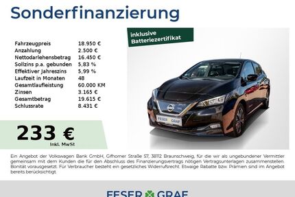 Nissan Leaf Gebrauchtwagen