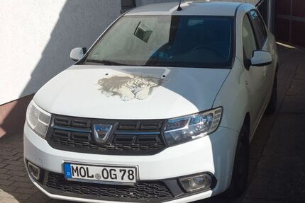Dacia Logan Gebrauchtwagen