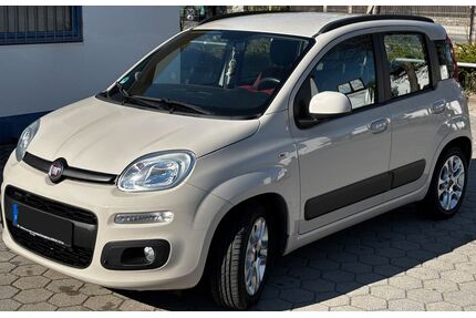 Fiat Panda Gebrauchtwagen