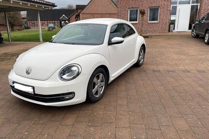 VW Beetle Gebrauchtwagen