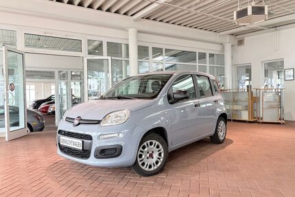 Fiat Panda Gebrauchtwagen