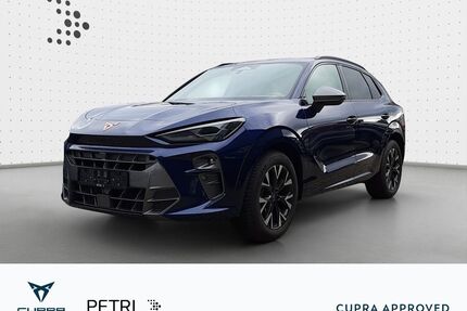 Cupra Terramar Gebrauchtwagen