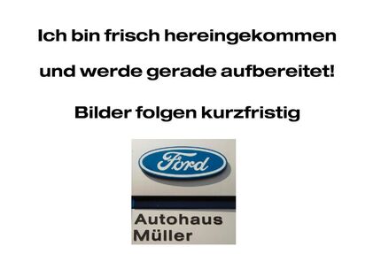 Ford Puma Gebrauchtwagen