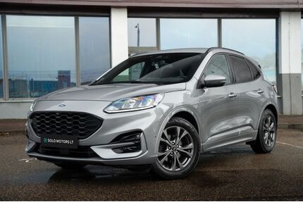 Ford Kuga Gebrauchtwagen