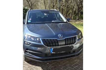 Skoda Karoq Gebrauchtwagen