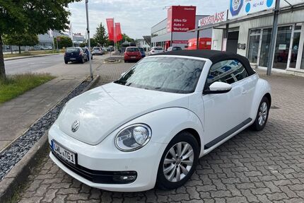 VW Beetle Gebrauchtwagen
