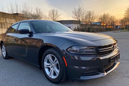 Dodge Charger Gebrauchtwagen
