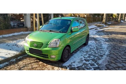Kia Picanto Gebrauchtwagen