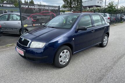 Skoda Fabia Gebrauchtwagen