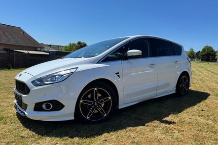 Ford S-Max Gebrauchtwagen